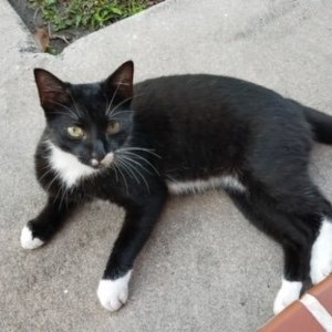 Fundraising Page: Vicki Pearlman